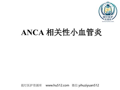 a01718 ANCA相关性小血管炎(2) 60页PPT课件可编辑无水印直接可用
