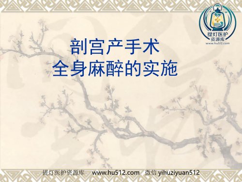 a01764 产科全身麻醉(1) 17页PPT课件可编辑无水印直接可用