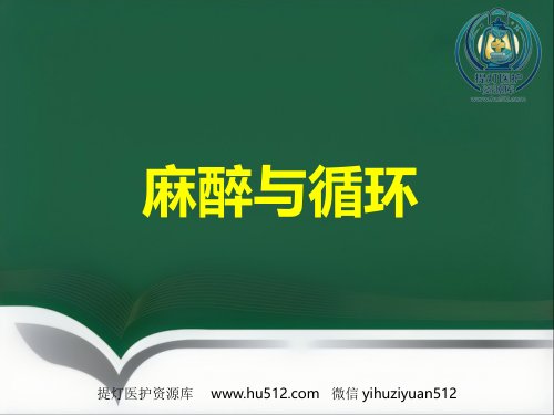 a01810 《麻醉与循环》 18页PPT课件可编辑无水印直接可用