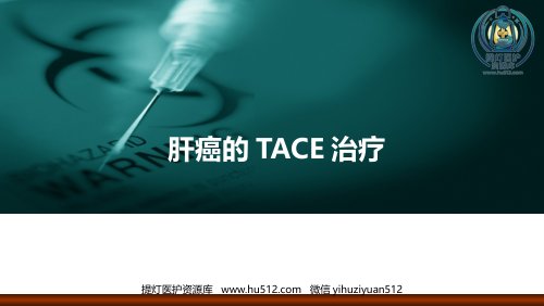 a01860 肝癌的介入治疗 15页PPT课件可编辑无水印直接可用